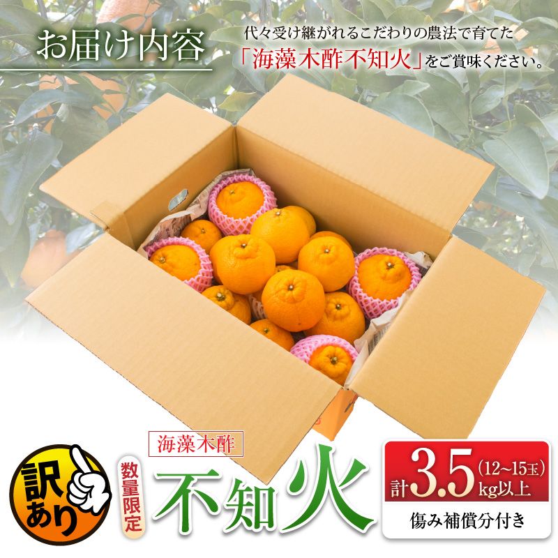 先行予約 訳あり 海藻木酢 不知火 計3.5kg以上 傷み補償分付き 期間限定 数量限定 フルーツ 果物 くだもの 柑橘 みかん 訳アリ 国産 食品 デザート おやつ おすそ分け_ZZV1-24_イメ