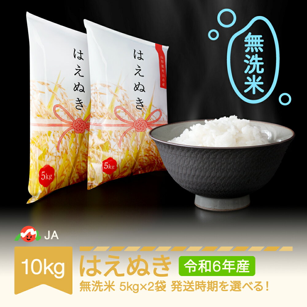 【ふるさと納税】米 10kg 5kg×2 はえぬき 無洗米 令和6年産 2024年産 山形県村山市産 送料無料 ja-hamxb10 ※沖縄・離島への配送不可
