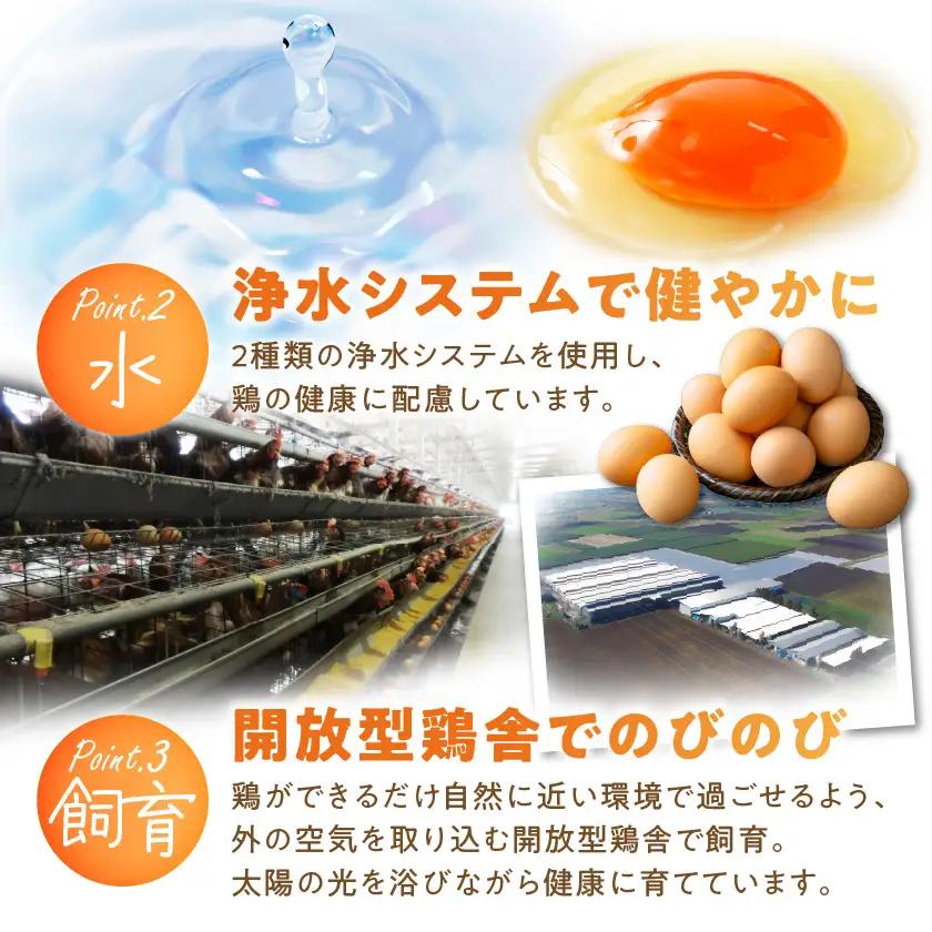 よかもよか卵40個〔11-29-010-40〕_(都城市) 赤卵Mサイズ 破損補償(5個追加) 生卵 鶏卵 玉子 タマゴ たまご 新鮮 濃厚 宮崎県産 家庭用 卵かけご飯 シフォンケーキ たまご焼き 