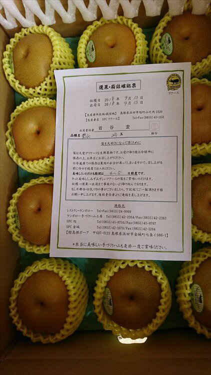 【ふるさと納税】【先行予約】浜田市旭町産赤梨 5kg（豊水）8〜16玉＜9月中旬から発送開始予定＞ 梨 豊水 ナシ 和梨 果物 フルーツ くだもの 先行予約 ふるさと納税 梨【002_0926】