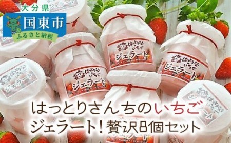 0241N_はっとりさんちのいちごジェラート！贅沢8個セット