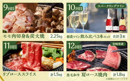 ≪12か月お楽しみ定期便≫都農町定期便(松) 肉 加工品 デザート 国産_T999-010