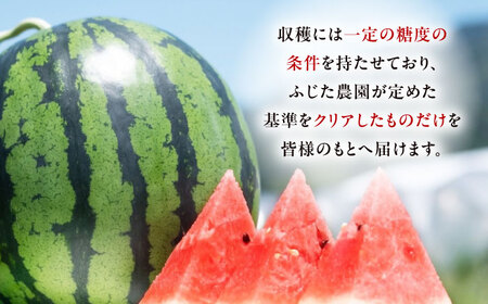 【先行予約】【6月上旬から順次発送】 スイカ【祭りばやし】 3L×2玉 すいか 西瓜 フルーツ 果物 くだもの 愛媛県大洲市/ふじた農園[AGDH003]