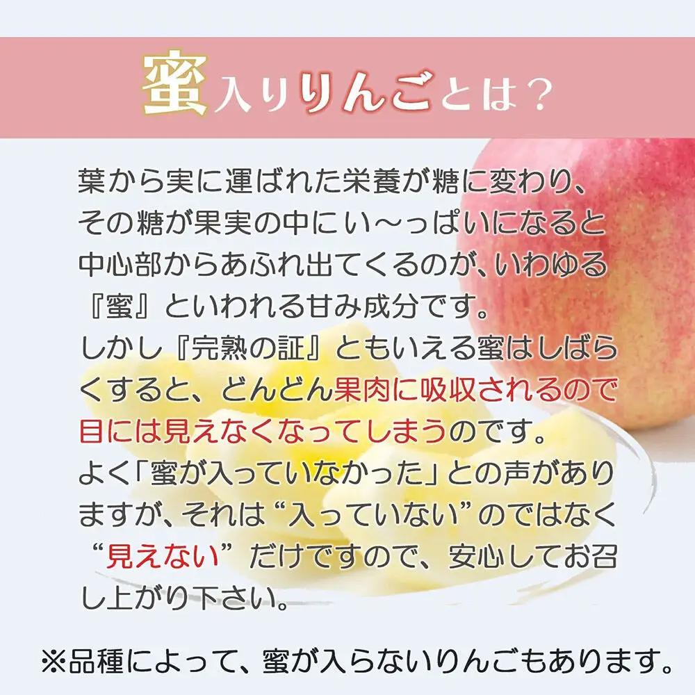 【26年12月下旬～発送】りんご サンふじ【贈答用】約10kg 内のし付き 青森県 弘前市