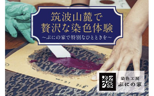 型染め体験 体験チケット 30,000円分 ぷにの家 │ 体験 チケット 染物 藍染 草木染 型染め 自然 古民家 SDGs 染料 季節 四季 体験型 夏休み 春休み 子供 家族 茨城県 つくば市