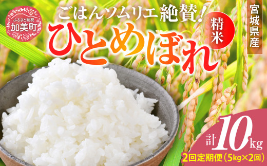 【2回定期便】新米 精米 令和6年産 宮城県産ひとめぼれ 計10kg (5kg×2回) [菅原商店 宮城県 加美町 ]  | sg00001-r6-5kg-2