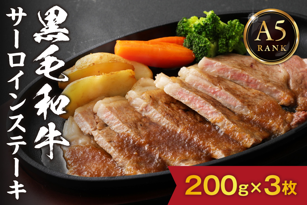 【A5ランク】黒毛和牛 (博多和牛) サーロインステーキ200g×3枚【伊豆丸商店】_HA0179