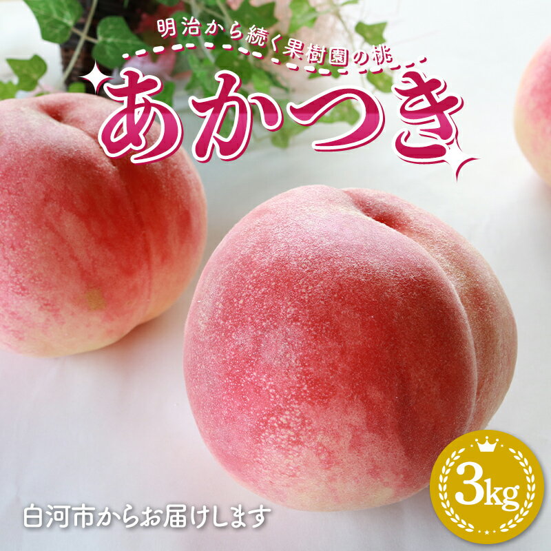 【ふるさと納税】【2026年出荷分先行予約】 明治から続く果樹園の桃「あかつき」3kg（玉数おまかせ） 桃 モモ もも 果物 くだもの フルーツ 福島県 白河市 F24R-213