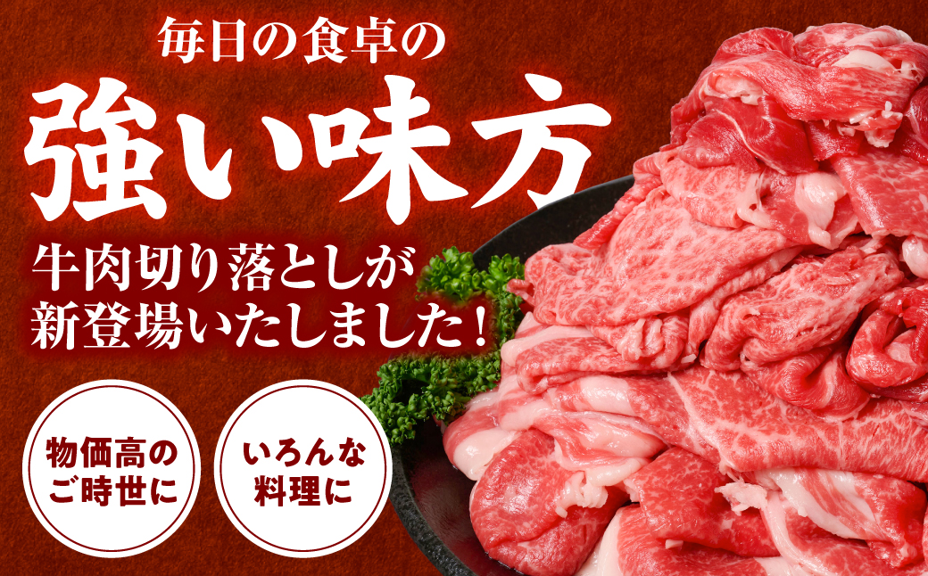 【訳あり】くまもと黒毛和牛 切り落とし 合計1kg (250g×4パック) 牛肉 肉 和牛 黒毛和牛 ブランド牛 牛丼 肉じゃが  国産 訳あり 小分け 熊本県 八代市