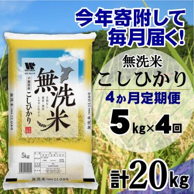 ふるさと納税 大網白里市 【毎月定期便】コシヒカリ 無洗米 5kg(5kg×1袋)全4回