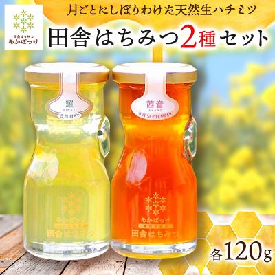 ふるさと納税 五霞町 月毎に楽しむ田舎はちみつ無添加天然生はちみつ2種セット(五霞町産)