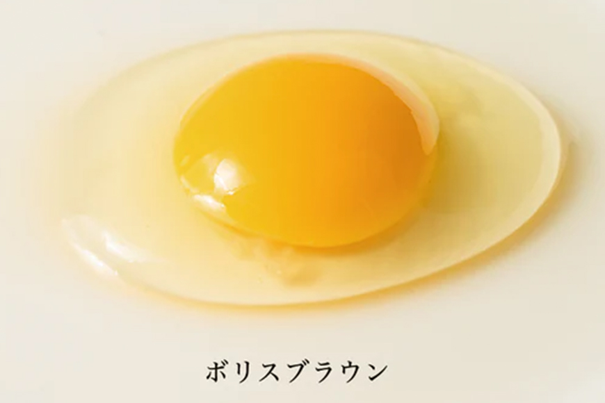 上原養鶏場のはっこう卵(赤卵）MS~Lサイズ 55個+破卵保障5個