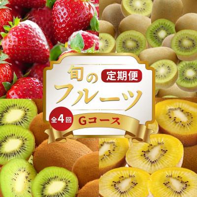 ふるさと納税 丸亀市 【発送月固定定期便】フルーツ定期便 Gコース(ゴールドキウイ キウイっこ 香緑 いちご)全4回