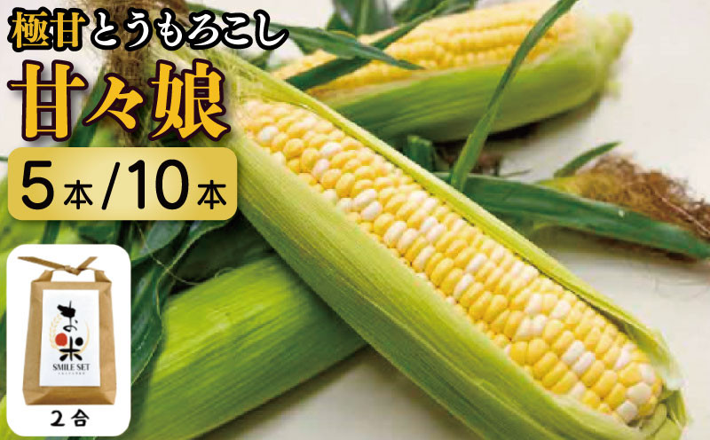 
            とうもろこし 米 セット 甘々娘 選べる 5本 2kg / 10本 4kg コメ 2合 お米 アキサカリ ごはん 先行予約 スマイルセット トウモロコシ コーン スイートコーン 甘い とうもろこしご飯 レシピ付き 期間限定 夏 旬 野菜 鍋 炒め物 煮物 スープ 弁当 惣菜 おかず 健康 新鮮 国産 送料無料 吉野川市 徳島県
          