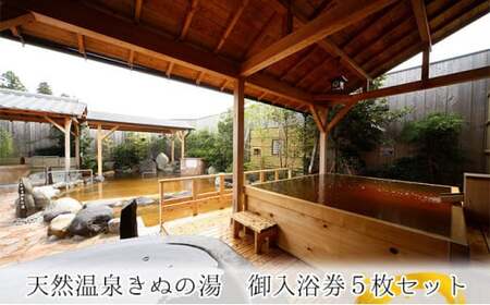 常総市 ふるさと御入浴券 5枚セット