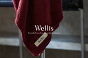 【ふるさと納税】Wellis　バスタオル2枚 ボルドー　ランドリーバッグ付き　（009_5140_04）