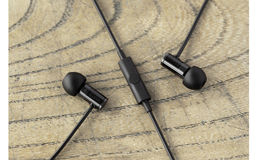 final E1000C ハイレゾイヤホン