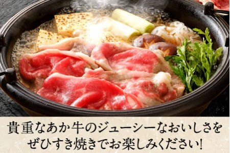 肥後のあか牛 すき焼き用 1000g 長洲501 熊本 特産 あか牛《30日以内に出荷予定(土日祝除く)》