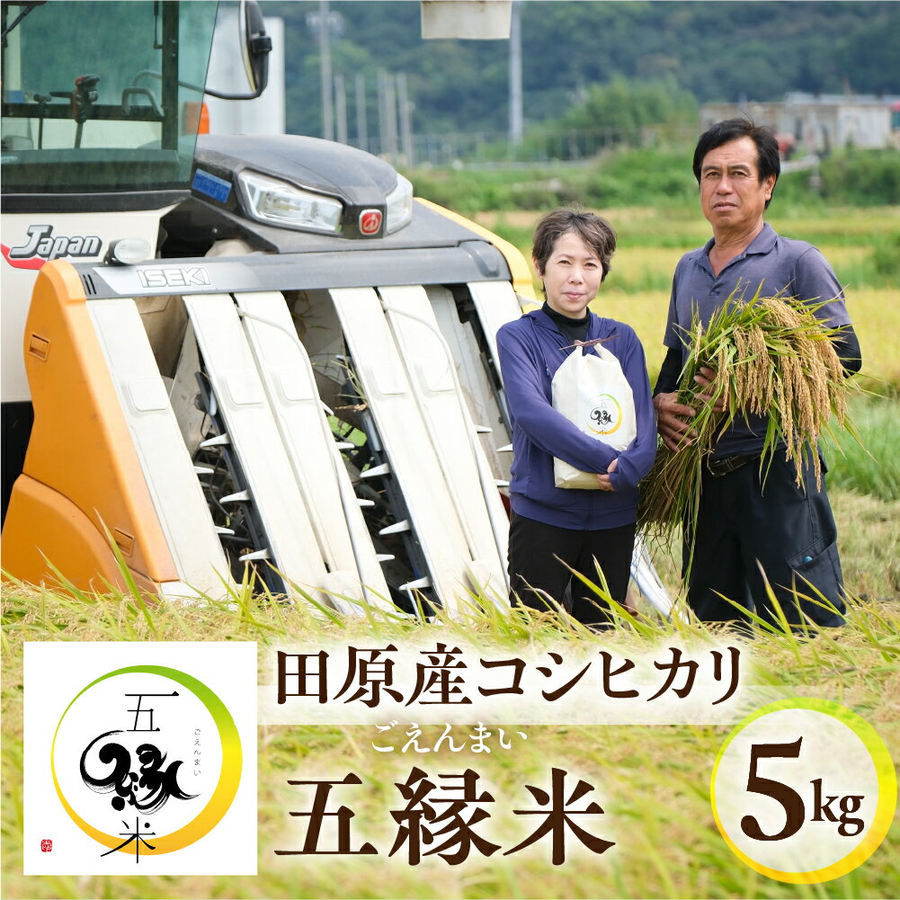 【ふるさと納税】 【先行予約】五縁米 5kg こしひかり お米 おこめ 米 コメ ごはん コシヒカリ ご飯 おかず 白飯 白ごはん ブランド米 お弁当 精米 お取り寄せ 災害 備え 愛知県 田原市 人気