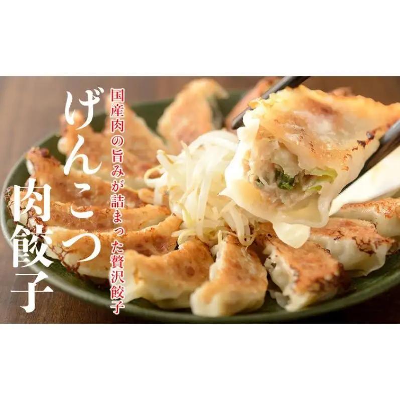 浜松餃子 和風だし 肉餃子 いえやす 2種 48個 食べ比べ 餃子 国産 冷凍 ぎょうざ