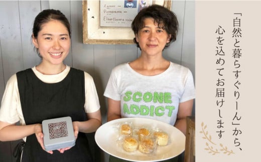 クッキー nagasaki cookie set お菓子 スイーツ 手作り クッキー クッキー缶 贈答 ギフト 贈り物 記念日 長崎 ＜自然と暮らすグリーン＞ [CEM004]