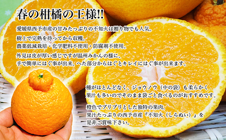 ＜カネエの西宇和産 不知火（しらぬい）3kg前後＞ 家庭用 農家直送 果物 くだもの フルーツ ミカン オレンジ 甘い おいしい サイズ混合 食べて応援 特産品 いのうえ農園 愛媛県 西予市【常温】『