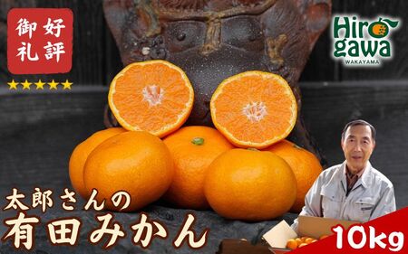 有田 みかん 10kg M・L / 温州みかん 有田みかん 甘い 和歌山 柑橘 ※2026年12月上旬～翌年1月中旬に順次発送 【ymk004-10-mlB】