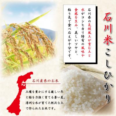 ふるさと納税 宝達志水町 米 定期便 石川米 こしひかり【穂立】5kg×6回 総計30kg [中橋商事 38601131] |  | 01