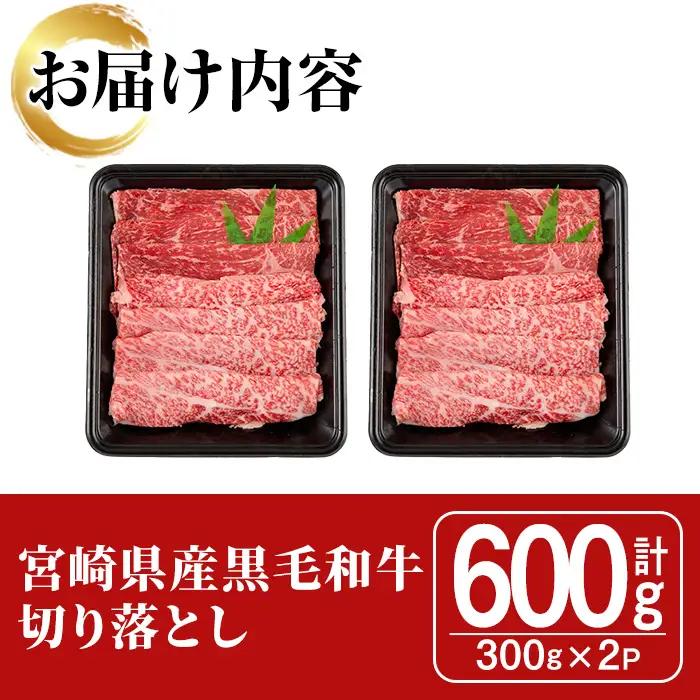 宮崎県産黒毛和牛切り落とし(600g・300g×2P)【SJ009】【日本ハムマーケティング株式会社】