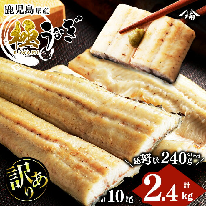 【ふるさと納税】【訳あり】鹿児島県大隅産！楠田の極うなぎ白焼き 10尾(計2.4kg以上・1尾あたり240g～269g) 国産 鹿児島県産 鰻 真空 冷凍 白焼き うなぎ 訳あり【楠田淡水】j0-005