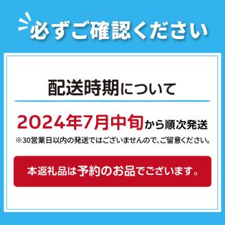 【予約：2024年7月中旬から順次発送】ところの白玉ねぎ 10kg ( 玉ねぎ タマネギ 玉葱 野菜 白玉ねぎ 10キロ 期間限定 辛みが少ない 生食 )【121-0008-2024】