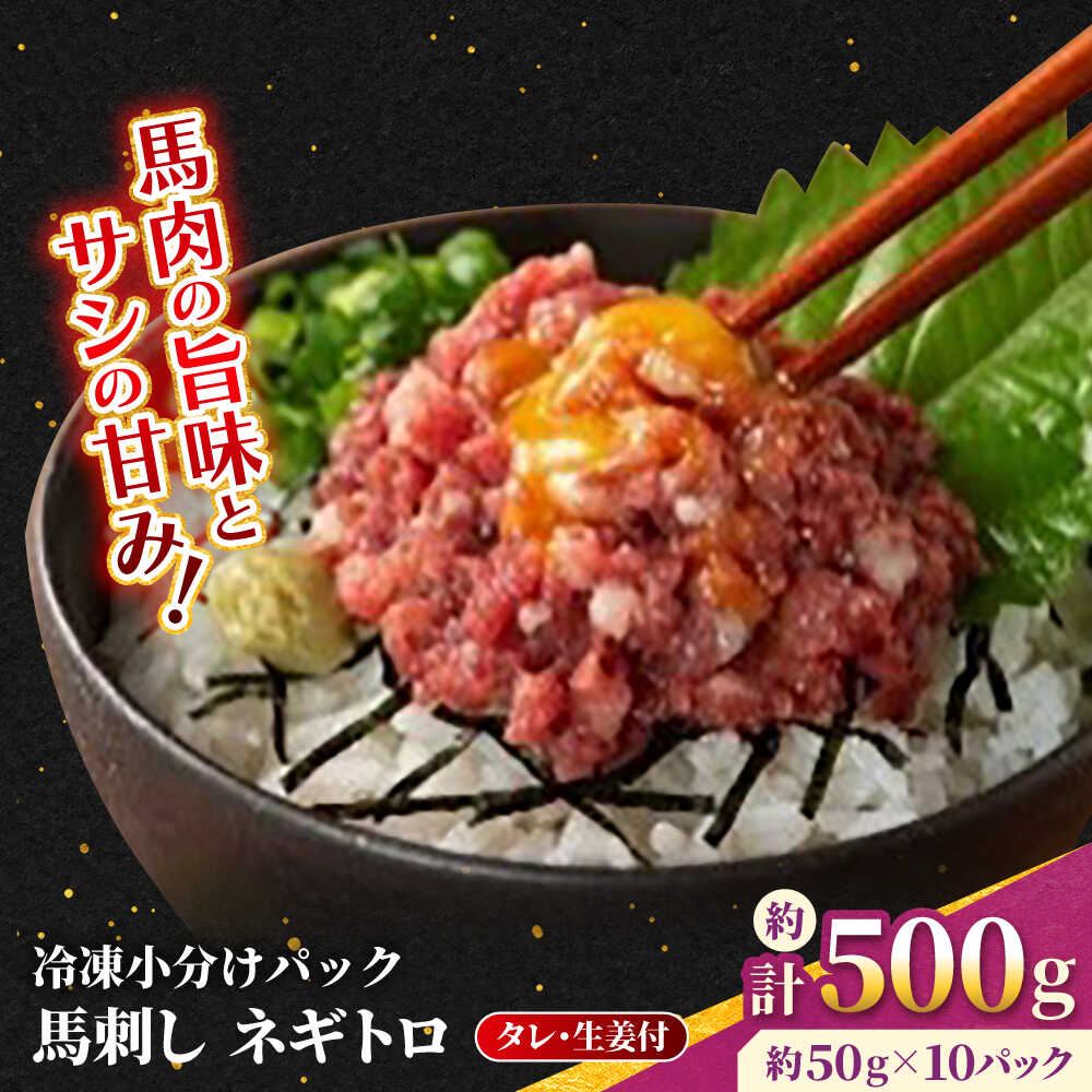 【ふるさと納税】【フジチク】 馬刺し ネギトロ 約50g×10個（計約500g）タレ付き 馬 馬肉 肉 熊本県 ネギトロ 馬刺し【亀井通産 株式会社】[AYBQ007]