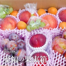 信州うちやま農園のフルーツ詰め合わせ【夏に届く】至福の果実箱A(3～5種類+シャインマスカット粒)