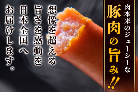 アグー豚(F1種) 南ぬ豚 業務用あらびきソーセージ　1.2kg（400g×3パック）E-34