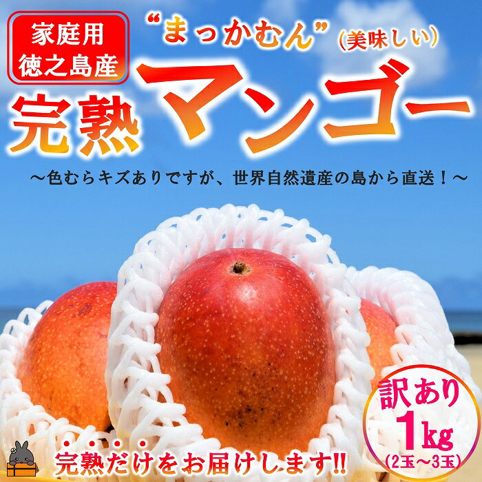 【ふるさと納税】≪今が旬！≫訳あり！【家庭用】徳之島産完熟マンゴー1kg（2～3玉）( マンゴー フルーツ わけあり 訳あり 訳有 果物 完熟 無加温 徳之島 世界自然遺産 美味しい とろける 旬 贅沢 糖度 南の島 )