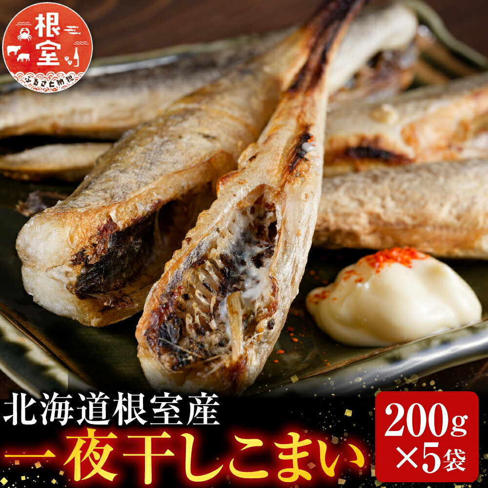 【ふるさと納税】 [北海道根室産] 一夜干しこまい 200g × 5 袋 コマイ 氷下魚 カンカイ さかな 魚 サカナ 干物 珍味 おつまみ 生干し 北海道 根室市 ふるさと納税