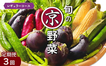 【3回定期便】旬の京野菜セット 野菜