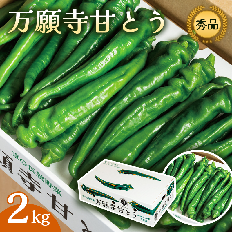 【2025年発送分】 万願寺甘とう 2kg 京野菜 万願寺とうがらし 辛くない 舞鶴発祥 地場野菜 野菜 箱入り 農協 JA 京都府 舞鶴市