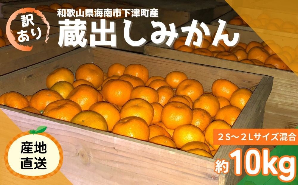 
                  訳あり 蔵出しみかん 約10kg 2S～2Lサイズ混合
                