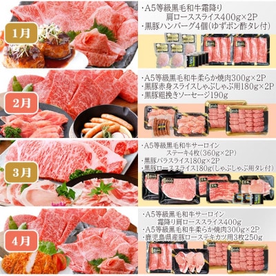お肉の定期便(12回)枕崎お楽しみ便(A5等級黒毛和牛・黒豚・黒豚加工品etc) KK−6003【1166746】