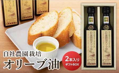 【小豆島産オリーブオイル】自社農園栽培オリーブ油 ~ギフト用BOX付~ （180ml×2本）｜オリーブオイル 油 調味料 小豆島 オリーブオイル オリーブ 小豆島産 国産 オリーブ油 オイルオリーブ オイル 人気 オリーブオイル 調味料 油 国産 小豆島 美味しい 人気 ギフト