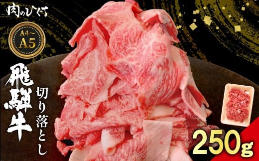【4月発送】 飛騨牛 切り落とし 250g A5 A4 国産 牛 黒毛和牛 和牛 牛肉 切落し 切り落し 薄切り 訳あり 牛丼 すき焼き しゃぶしゃぶ 炒め物 東白川村 岐阜 飛騨 贅沢 霜降り ロース バラ もも ウデ 肉のひぐち