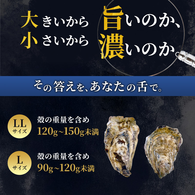 【 3ヵ月 定期便 】 厚岸産 ブランド 殻付カキ マルえもん 