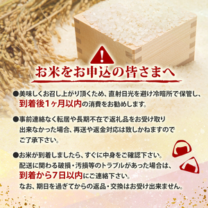 新米コシヒカリ 3kg 令和7年 高知県産