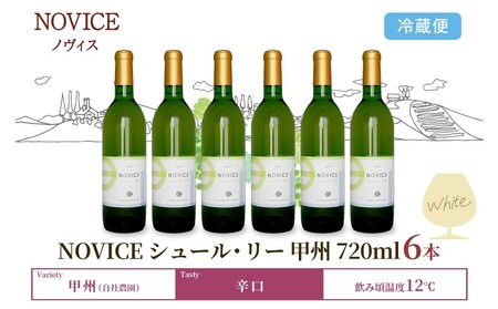 白ワイン NOVICEノヴィス シュール・リー 甲州 720ml×6本 フルボトル 辛口 日川中央葡萄酒 山梨県 笛吹市 177-7-29