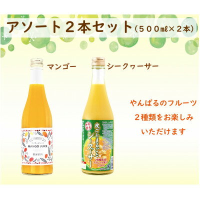 【ふるさと納税】マンゴージュース&沖縄県産シークヮーサージュースセット 南国フルーツ飲み比べ【1523070】