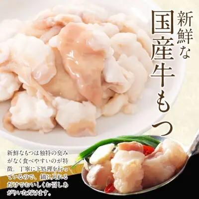 Z86-17 博多特選もつ鍋（2.5人前)（醤油味） もつ鍋