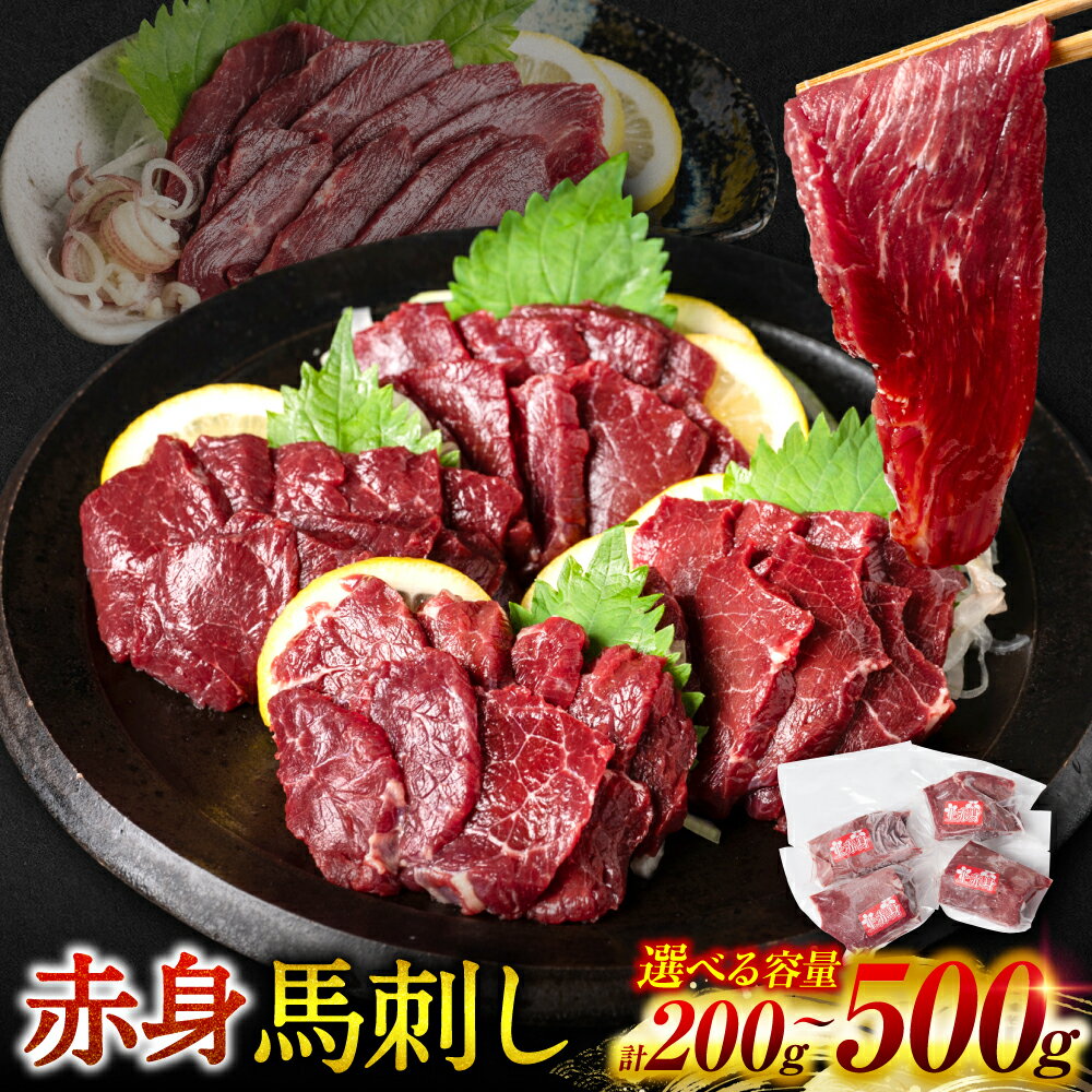 【ふるさと納税】 【選べる容量】 ＜桜屋＞ 赤身馬刺し 200g～500g 【専用醤油付き150ml×1本】 赤身 馬刺し 馬刺 刺身 刺し身 馬肉 肉 ブロック 冷凍 送料無料