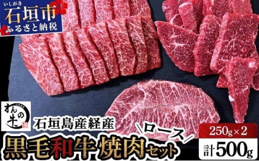 石垣島産経産黒毛和牛 焼肉セット【真空パック】 計 500g　NA-01