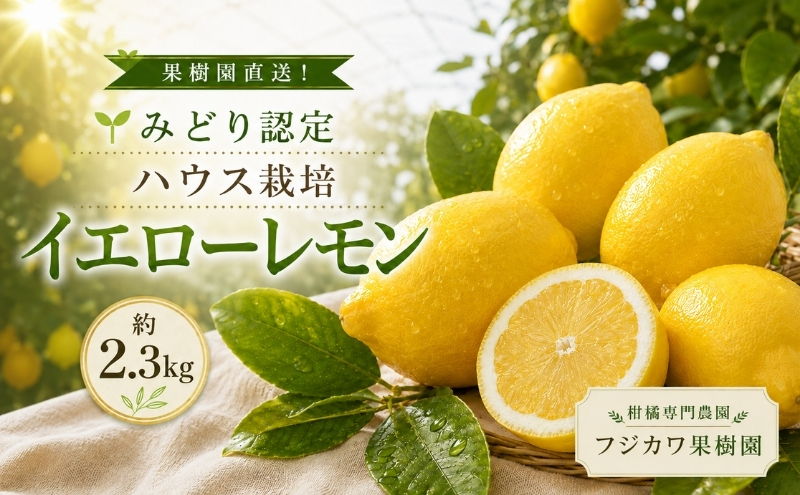 みどり認定 ハウス栽培イエローレモン 2.3kg 国産レモン 香